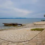 Locus * Petrcane