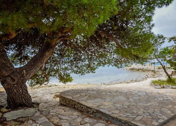 Locus Apartman Petrcane